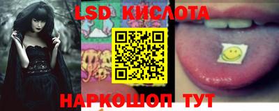 стаф Гатчина