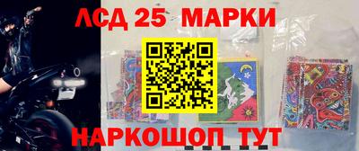 стаф Гатчина