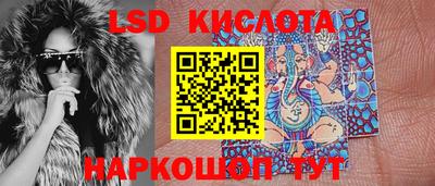 стаф Гатчина