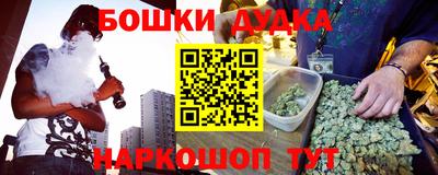 стаф Гатчина