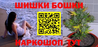 стаф Гатчина