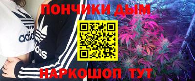 стаф Гатчина
