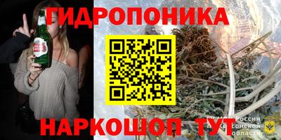 твердый Гай