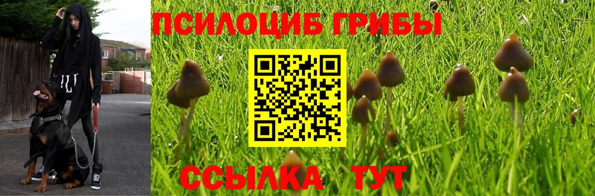Осинники  Псилоцибиновые грибы MAGIC MUSHROOMS  Вход с VPN  цена   Псилоцибиновые грибы ЛСД 